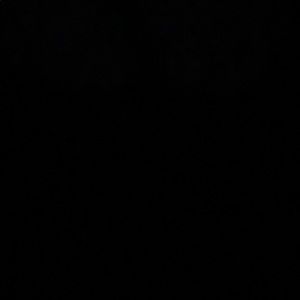 Meet your Posher, Cesar